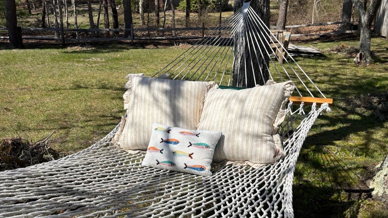 Photo of Outdoor in South Chatham