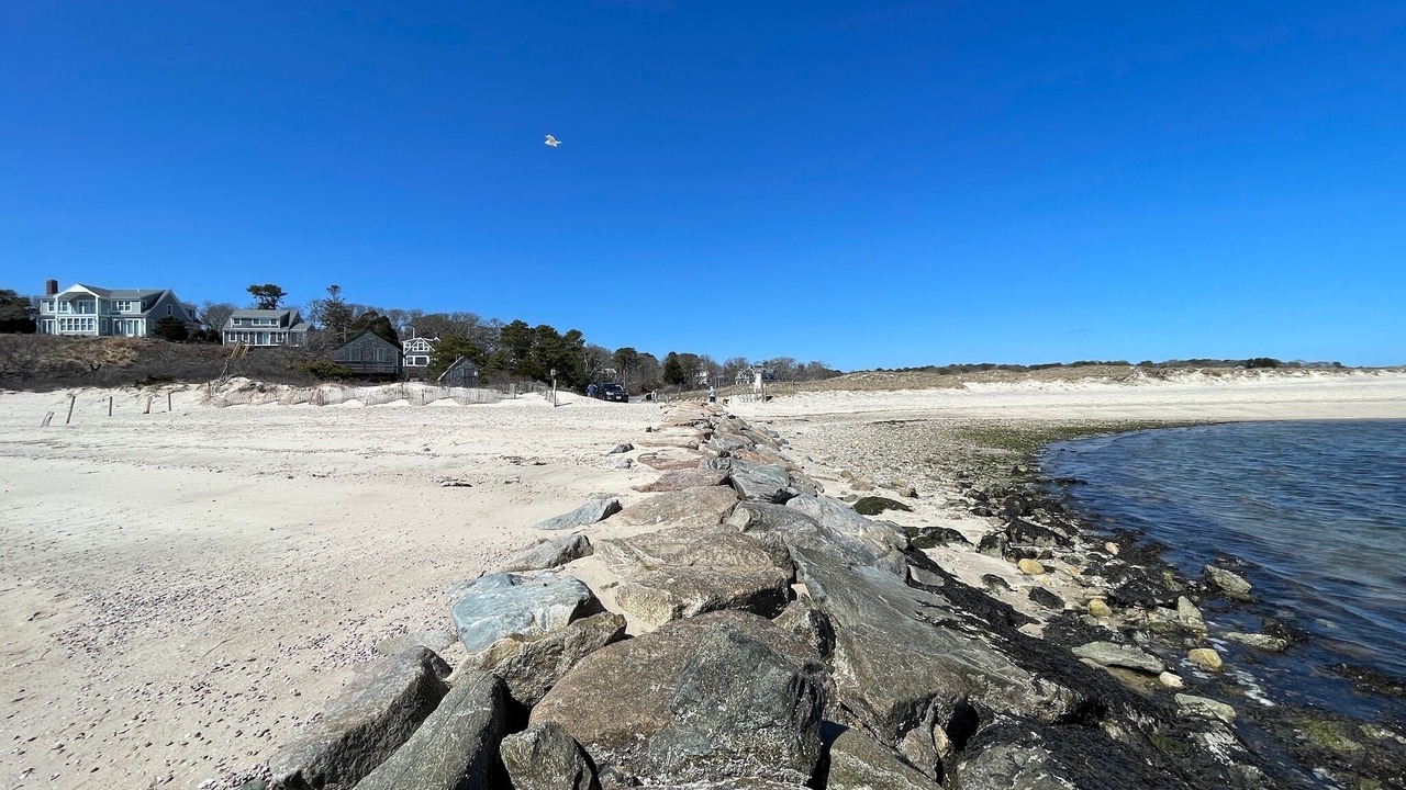 Photo of Others in South Chatham