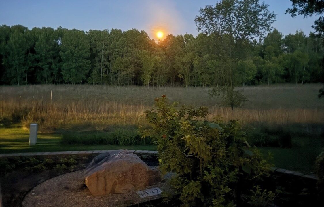 Photo of Others in Detroit Lakes