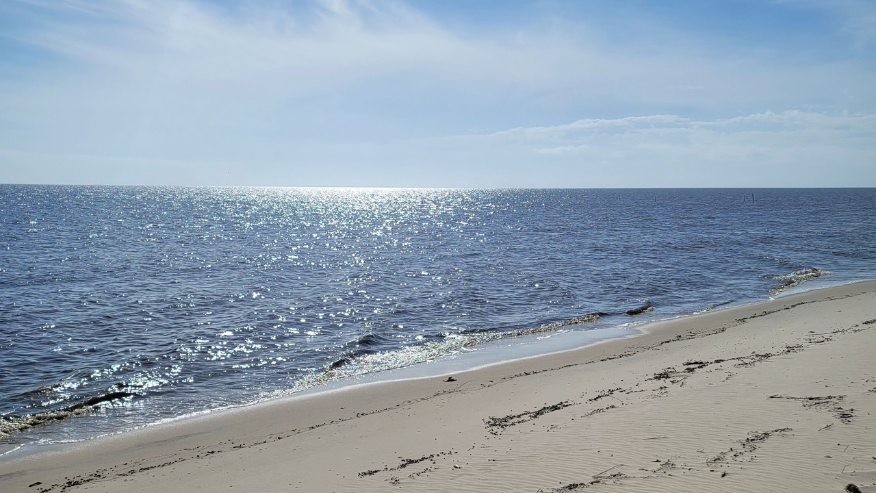 Photo of Others in Ocean Springs