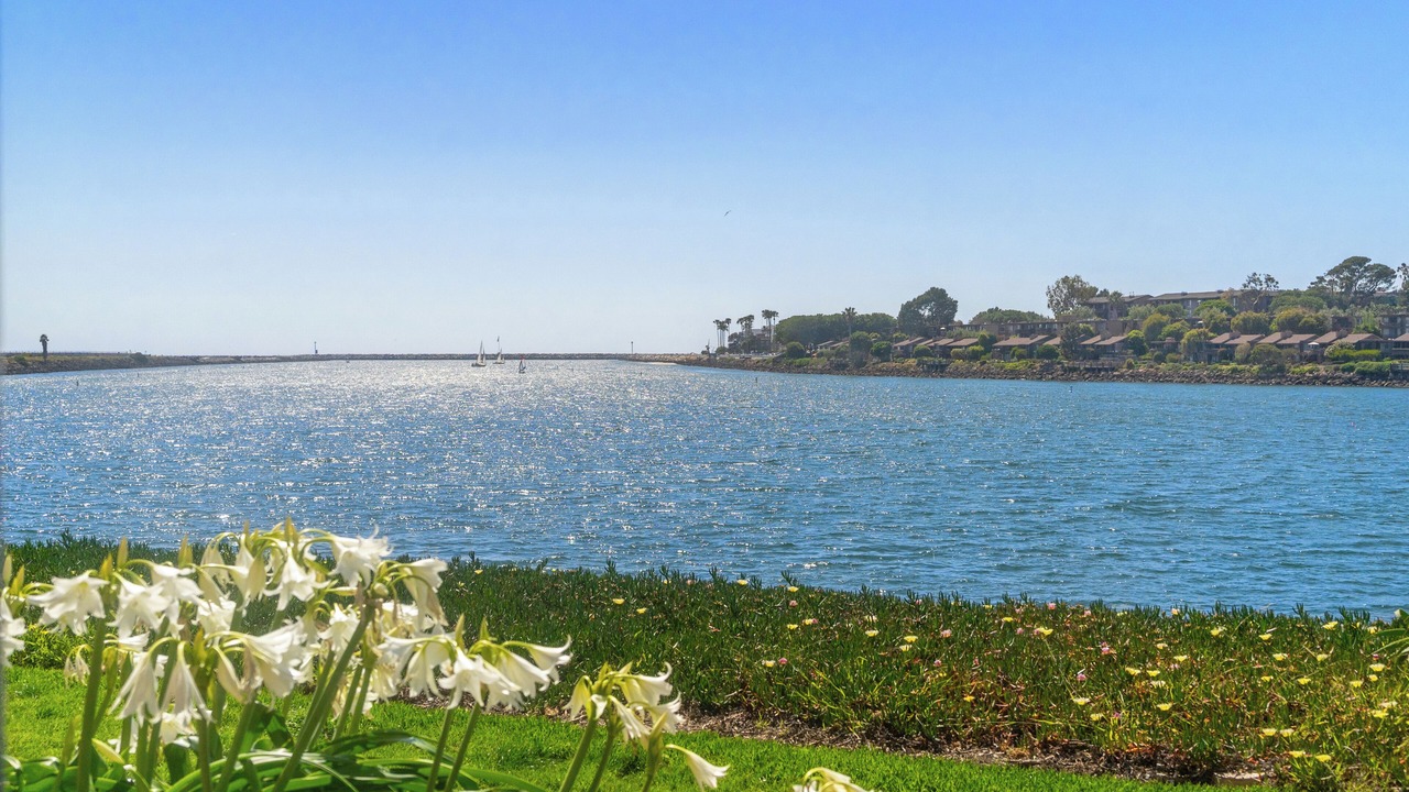 Photo of Others in Marina del Rey