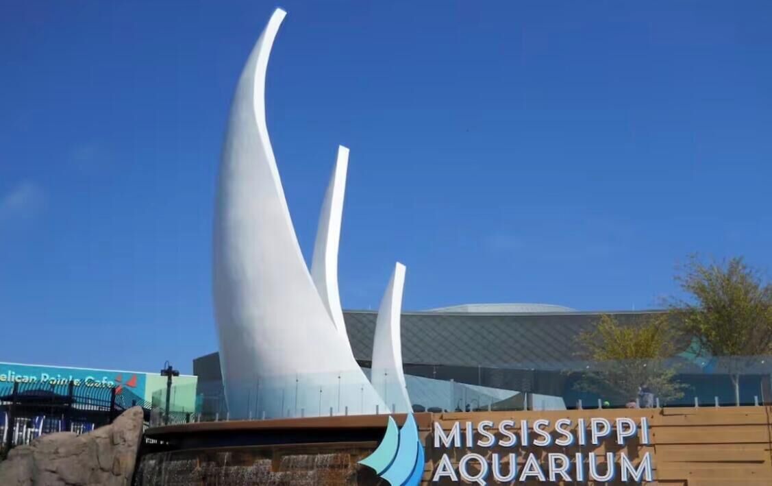 Photo of Others in Mississippi City