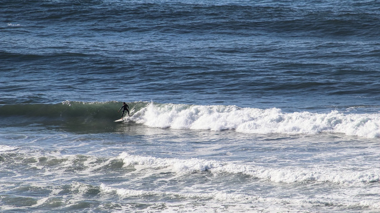 Photo of Others in Sand Section