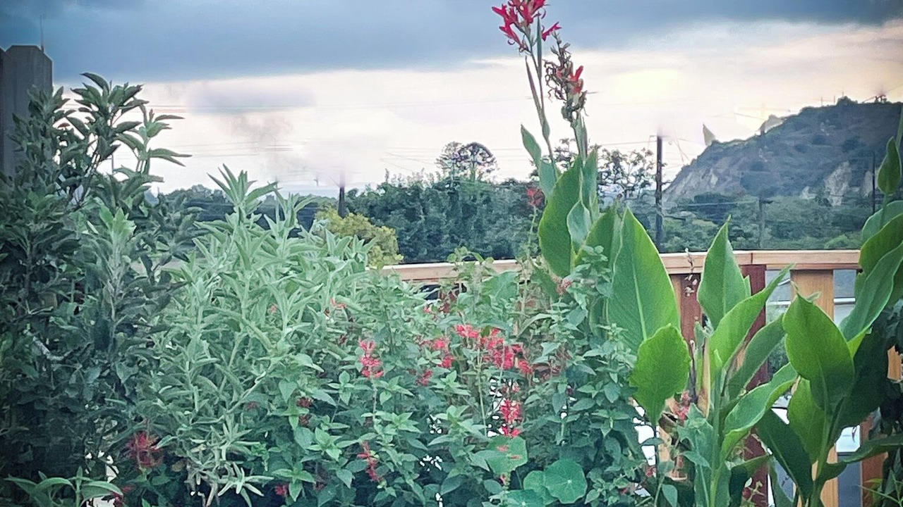 Photo of Outdoor in Ventura