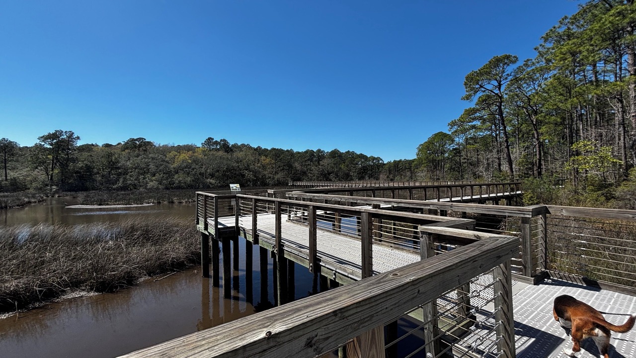 Photo of Outdoor in Ocean Springs