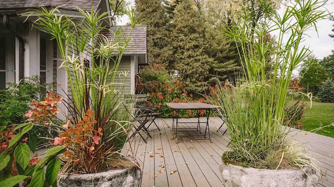 Photo of Outdoor in Almelund