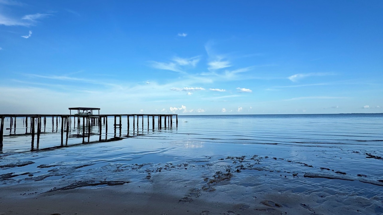 Photo of Others in Ocean Springs