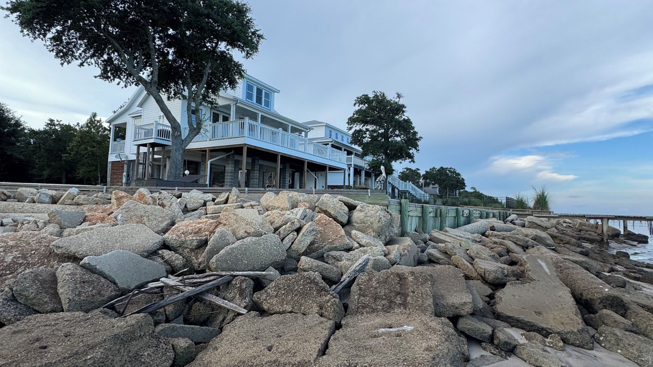 Photo of Outdoor in Ocean Springs