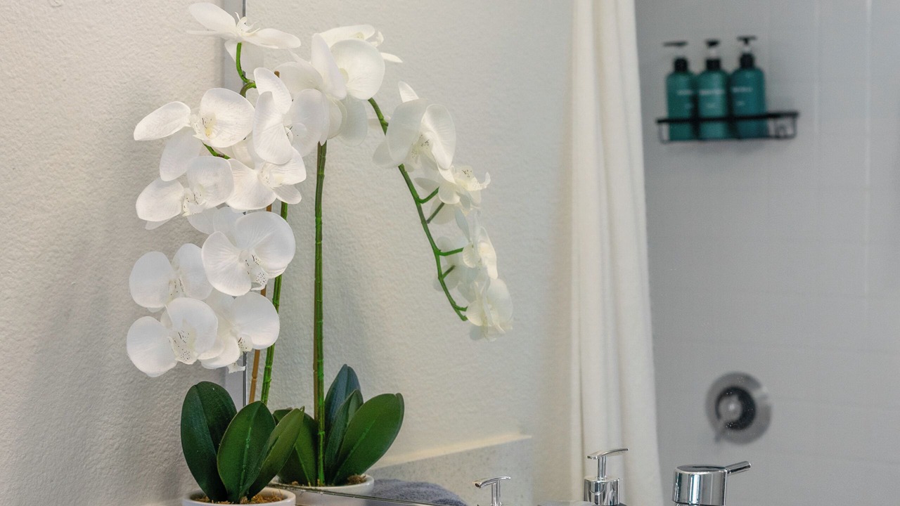 Photo of Bathroom in Downtown