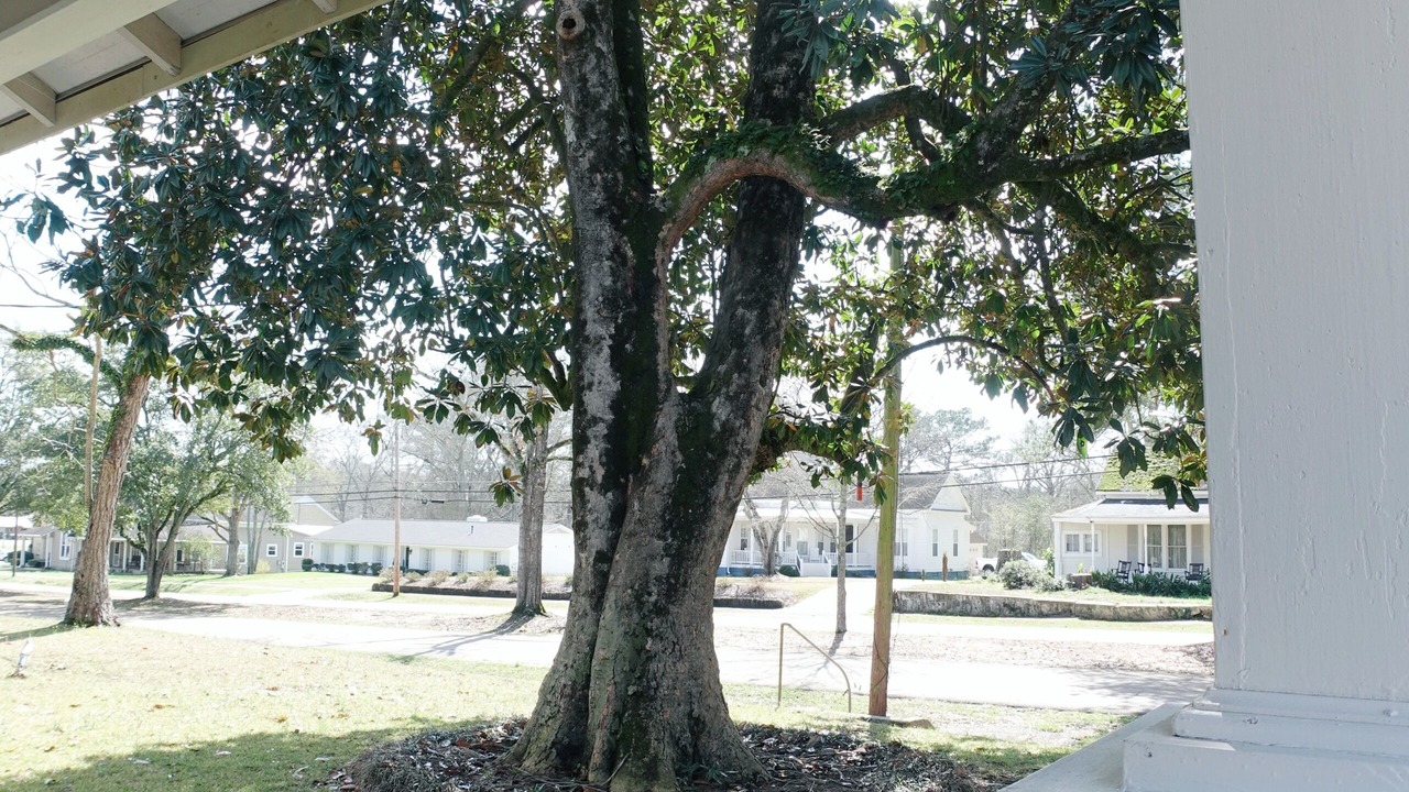 Photo of Outdoor in Mount Olive