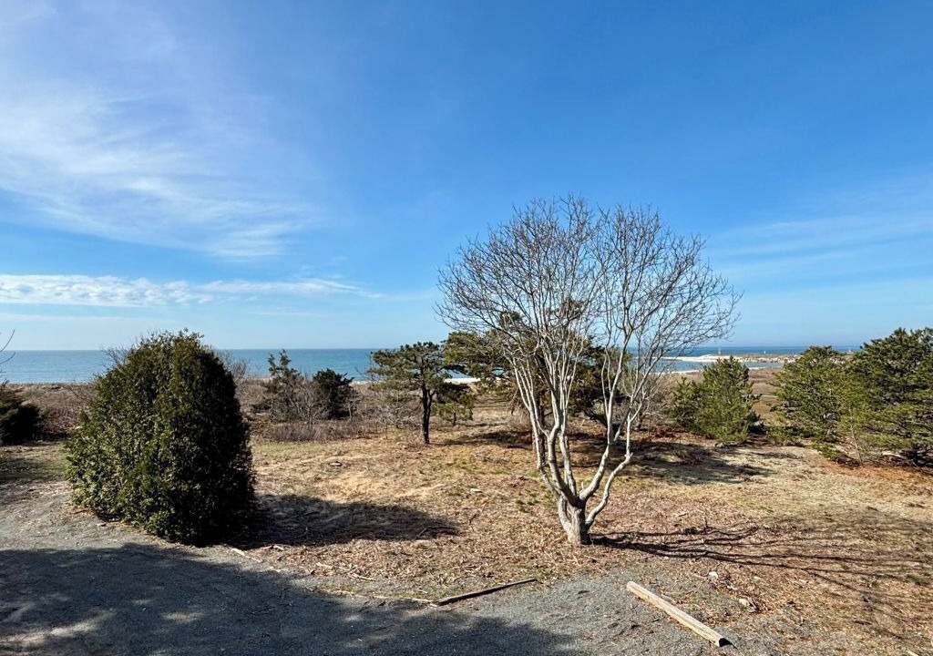 Photo of Others in South Chatham