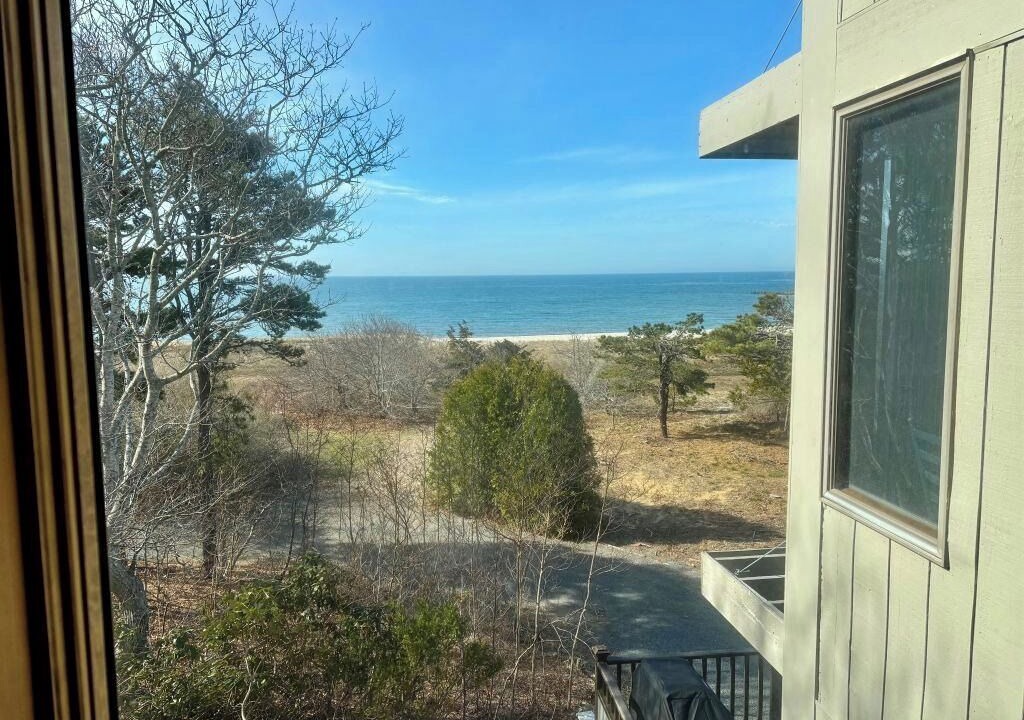 Photo of Others in South Chatham