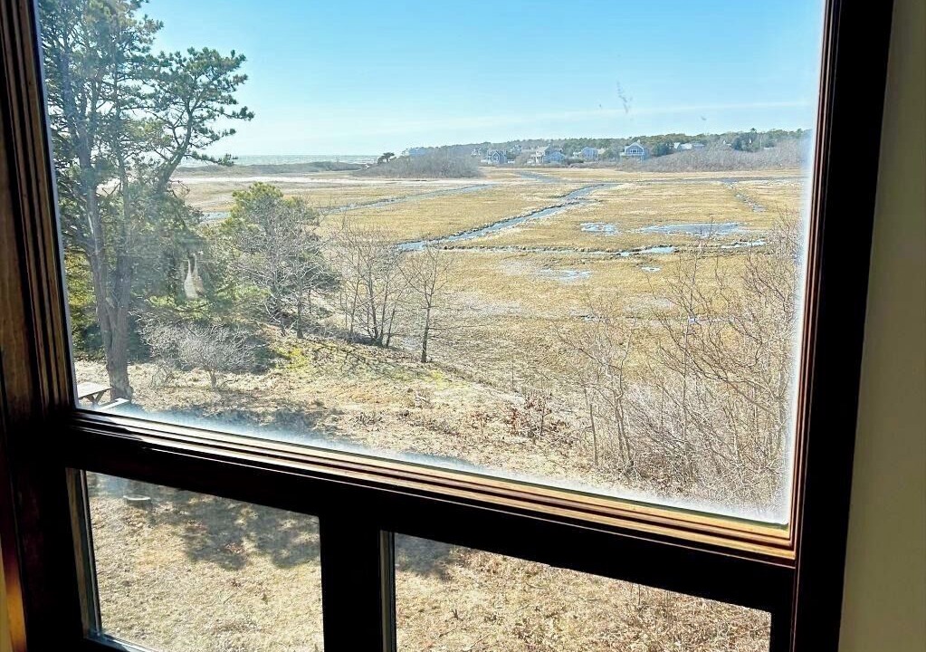 Photo of Others in South Chatham