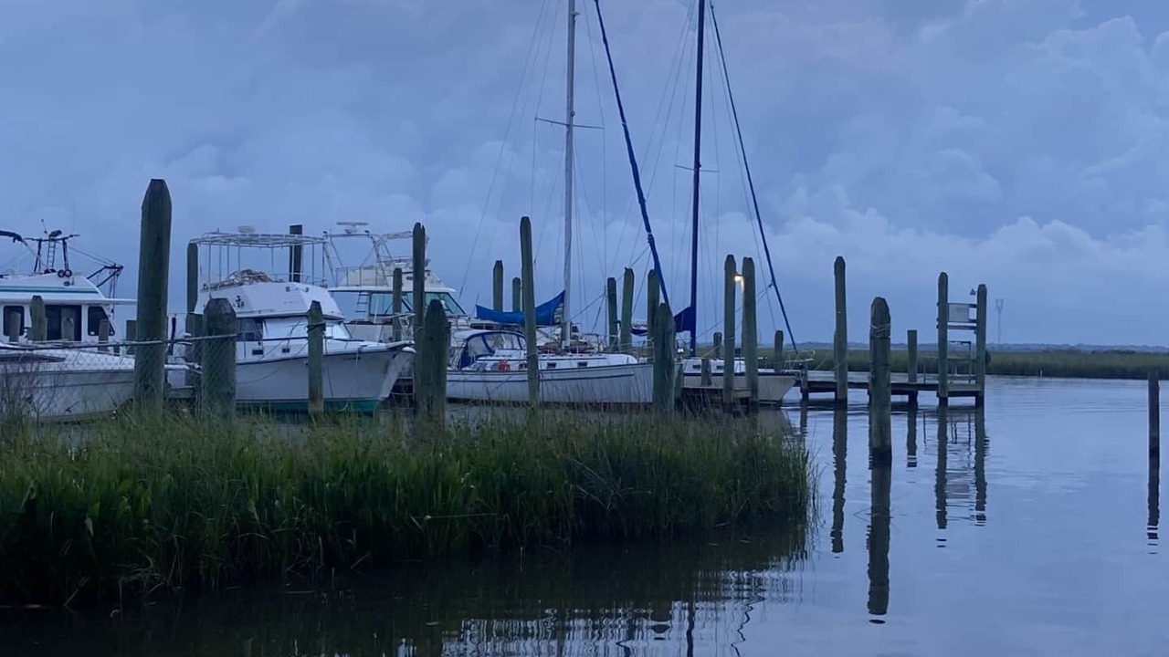 Photo of Others in Gautier