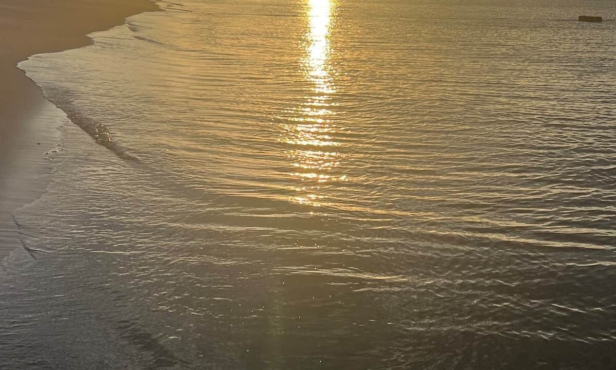 Photo of Others in Biloxi