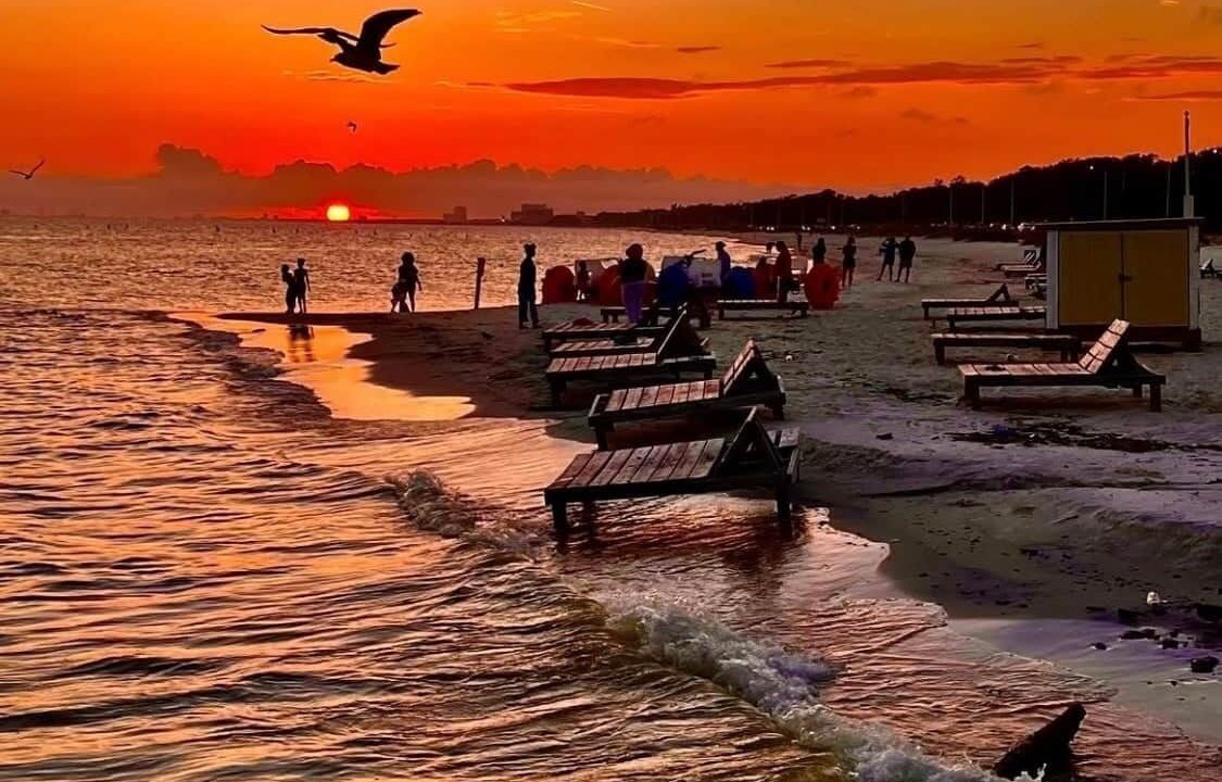 Photo of Others in Biloxi