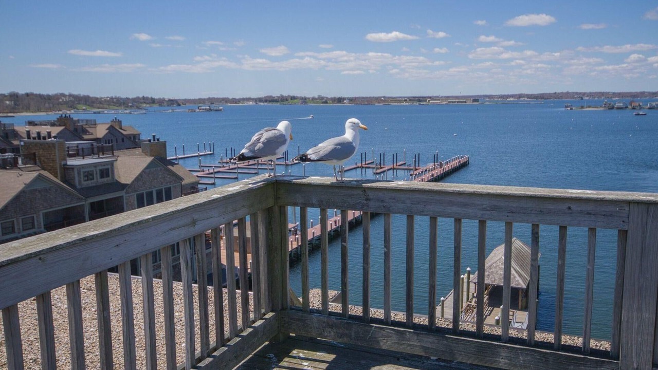 Photo of Outdoor in Yachting Village