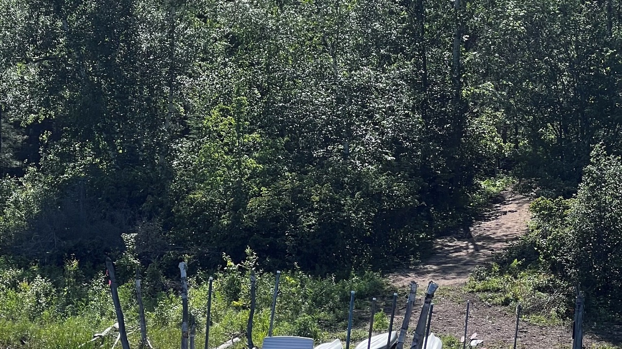 Photo of Others in Long Lost Lake