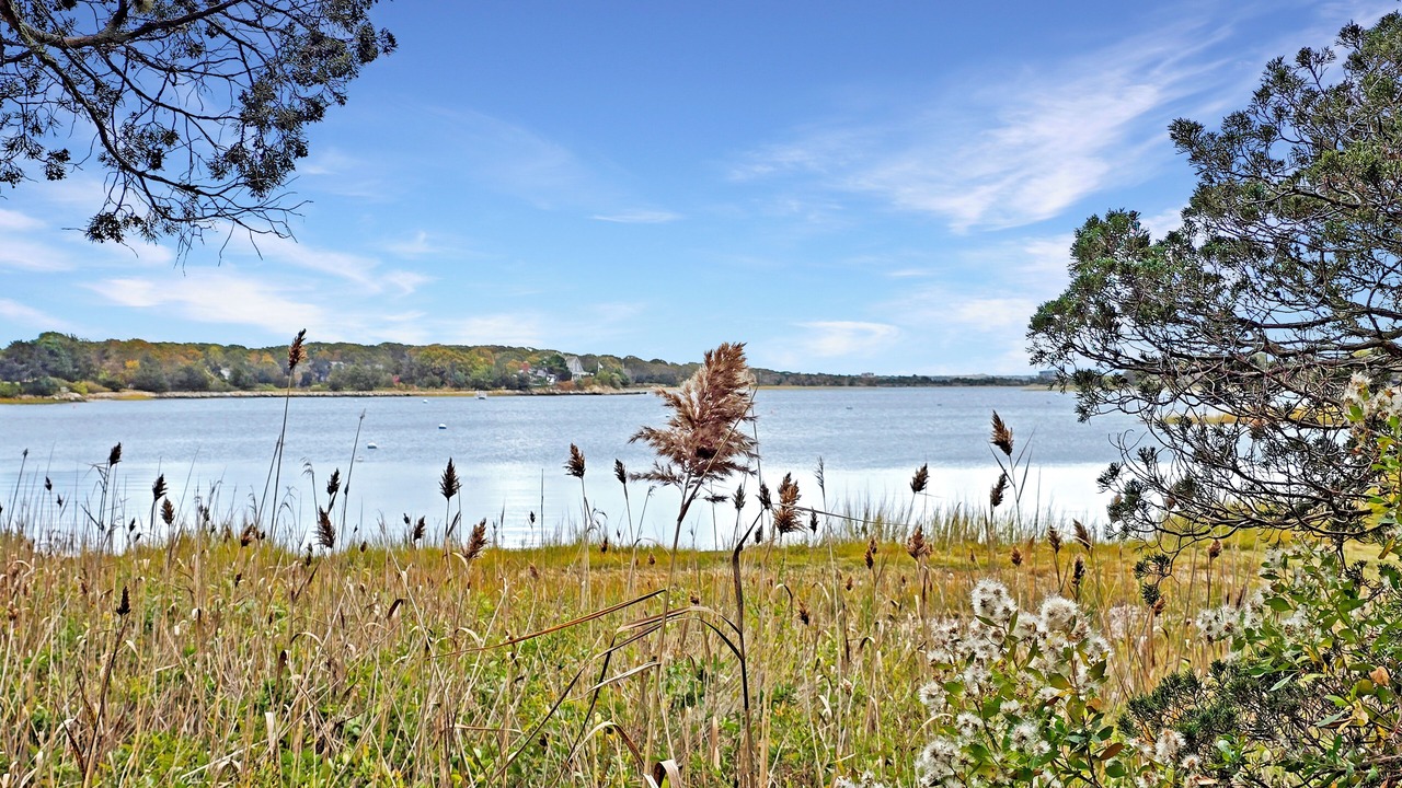Photo of Others in West Falmouth