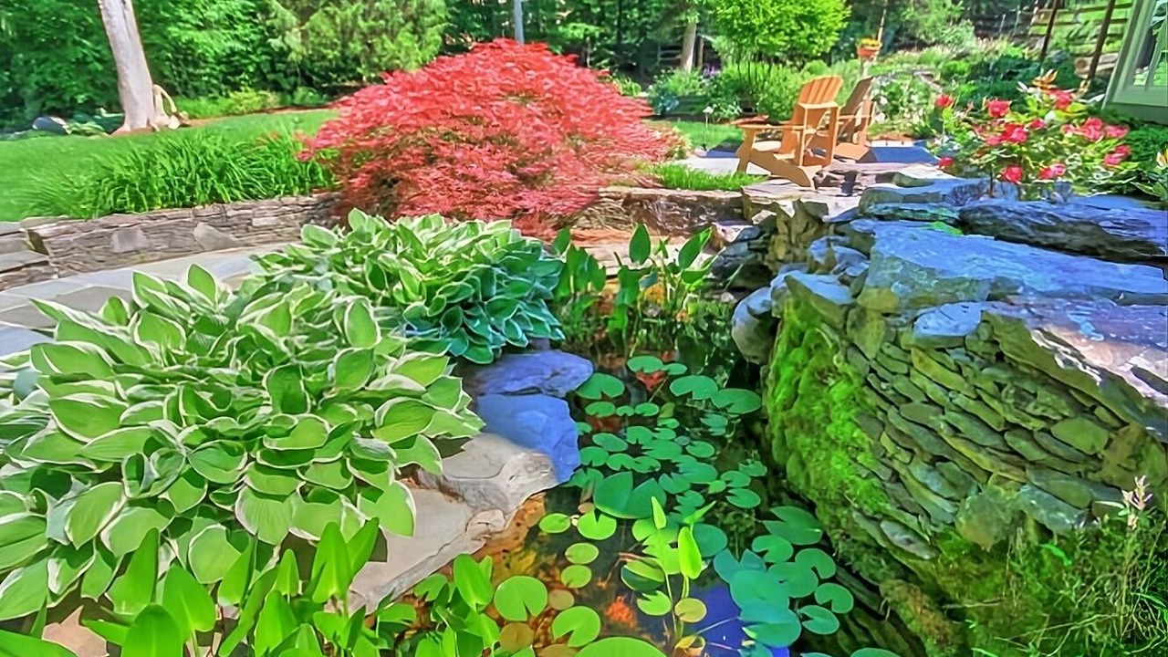 Photo of Outdoor in Tuscarora