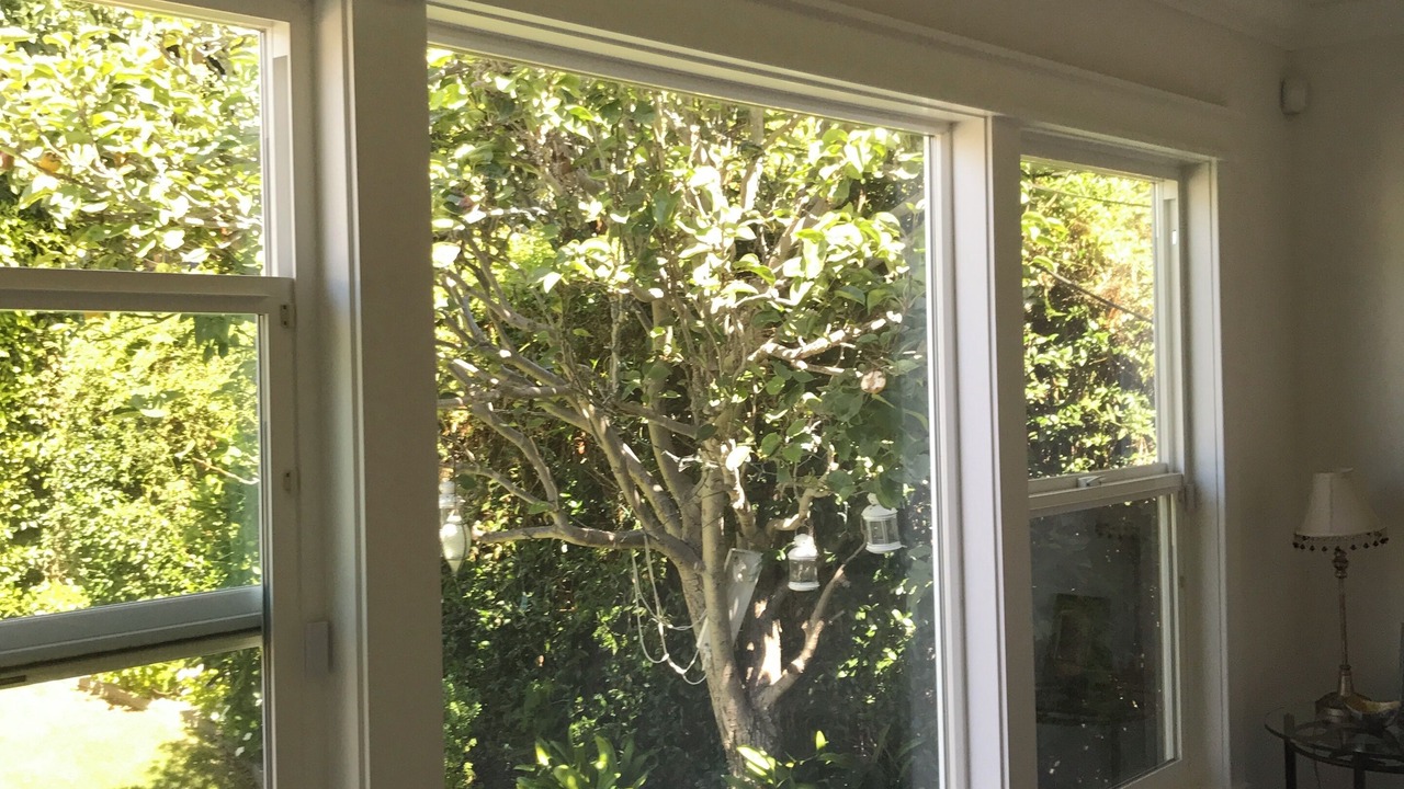 Photo of Others in Mar Vista