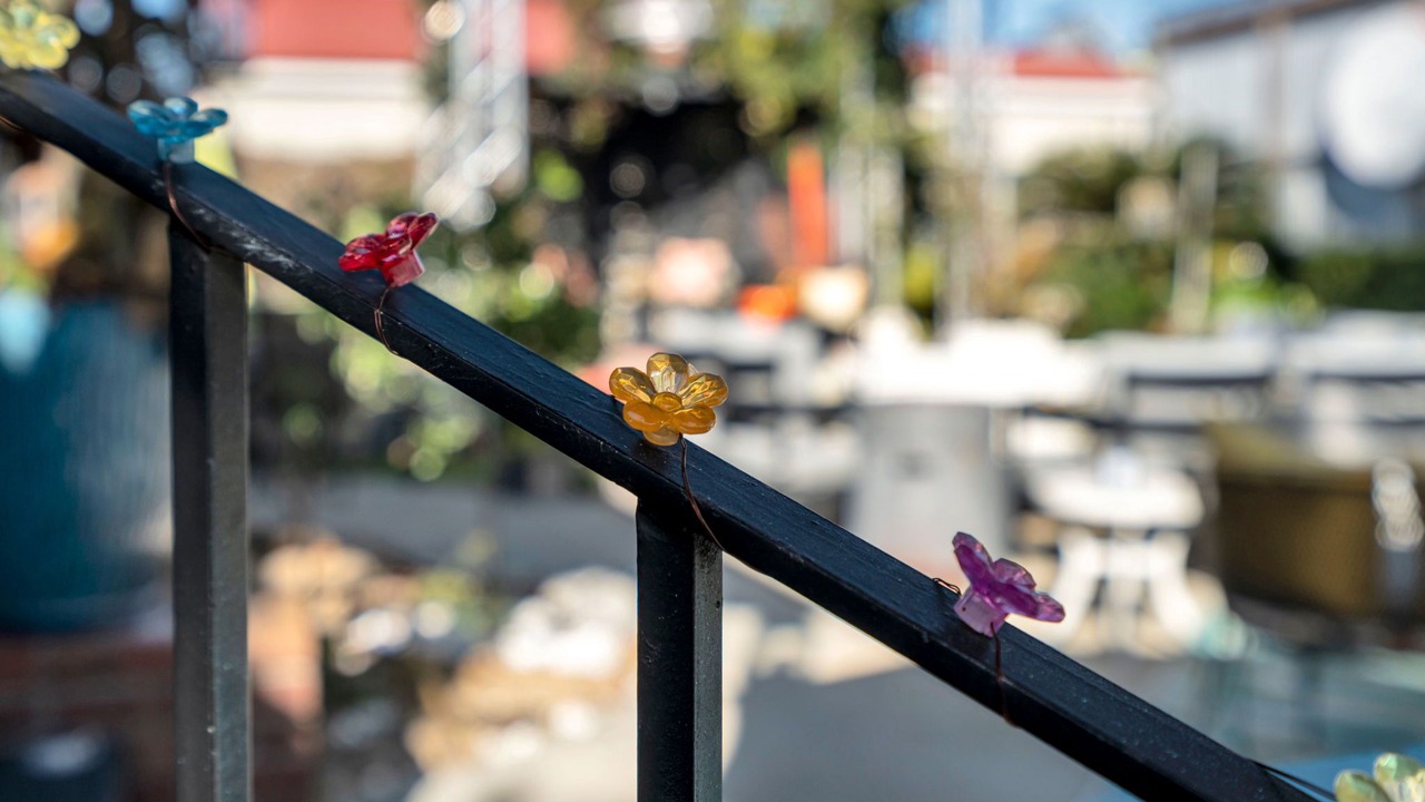 Photo of Outdoor in Bywater