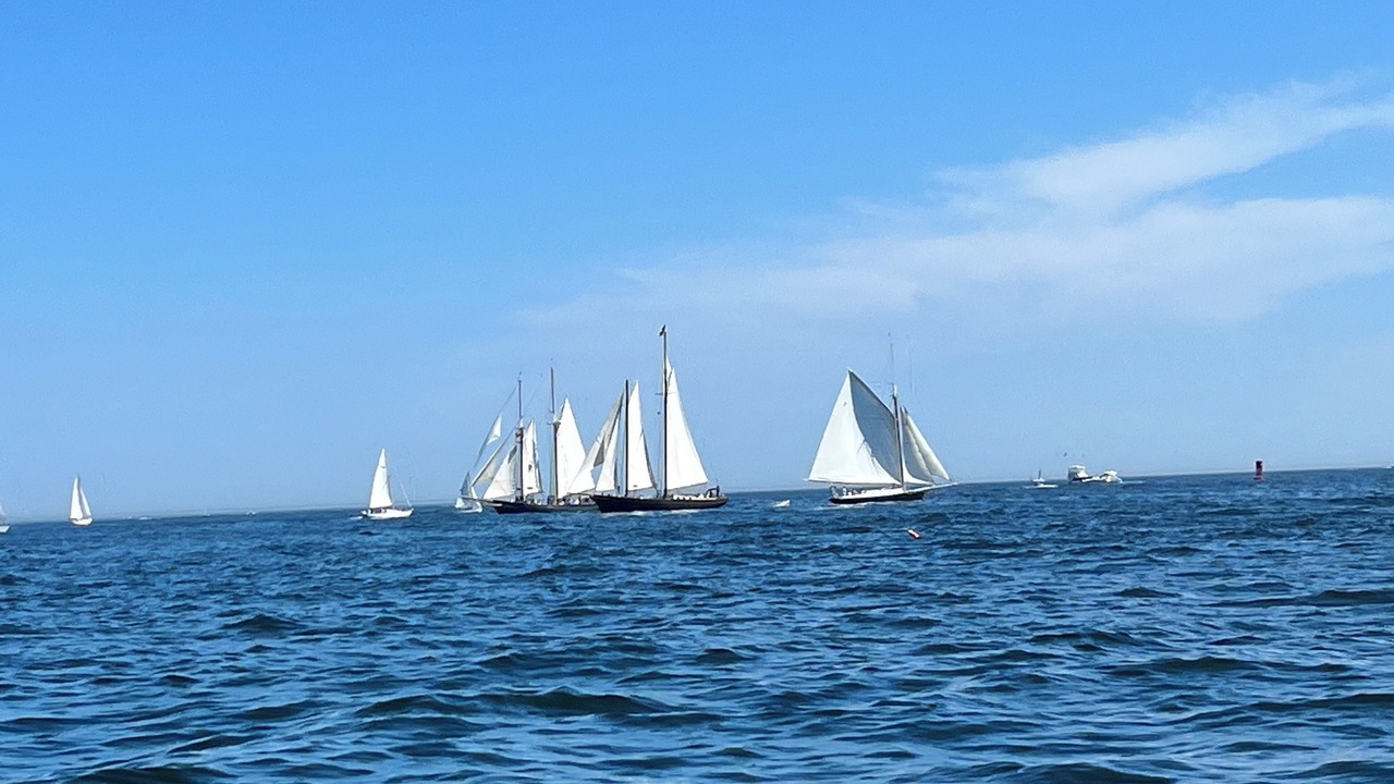 Photo of Others in Gloucester