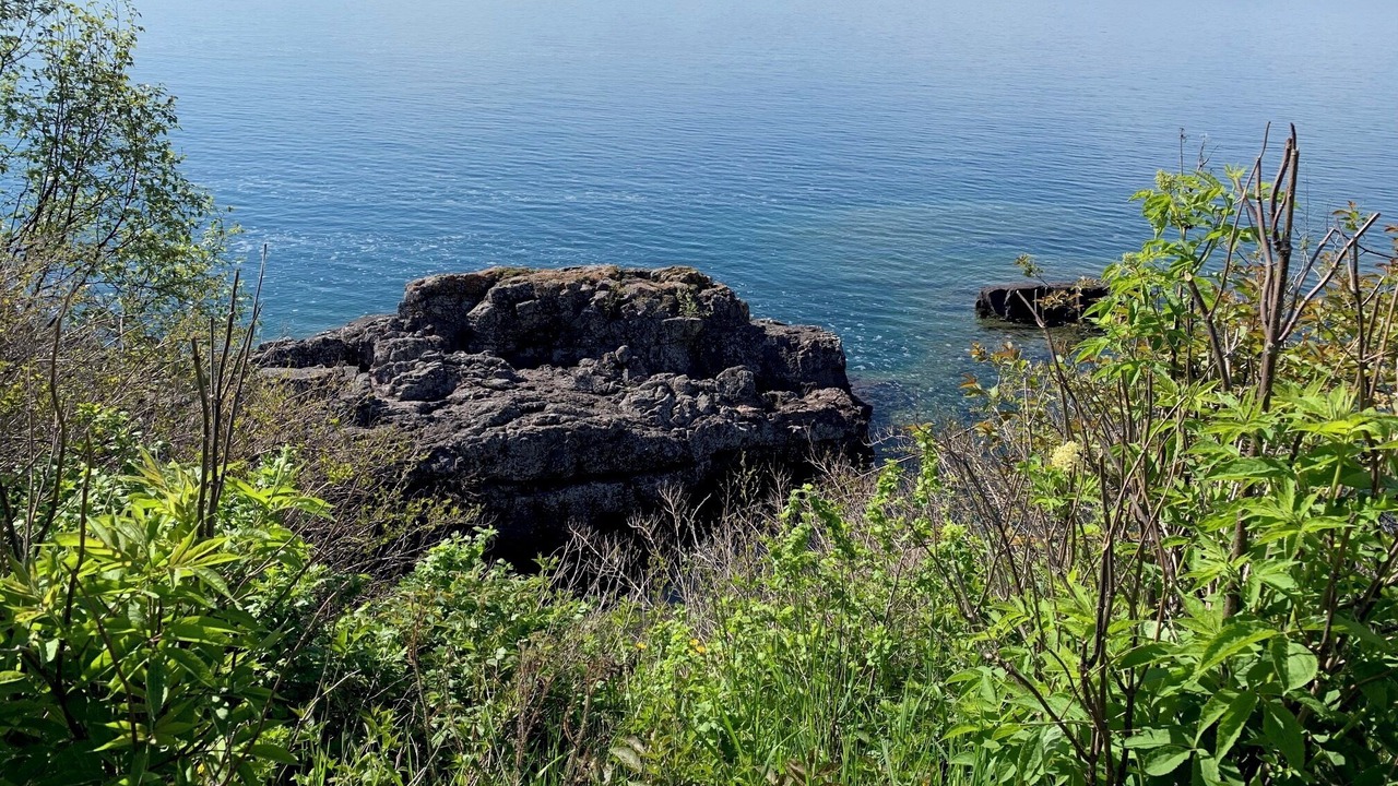 Photo of Others in Tofte