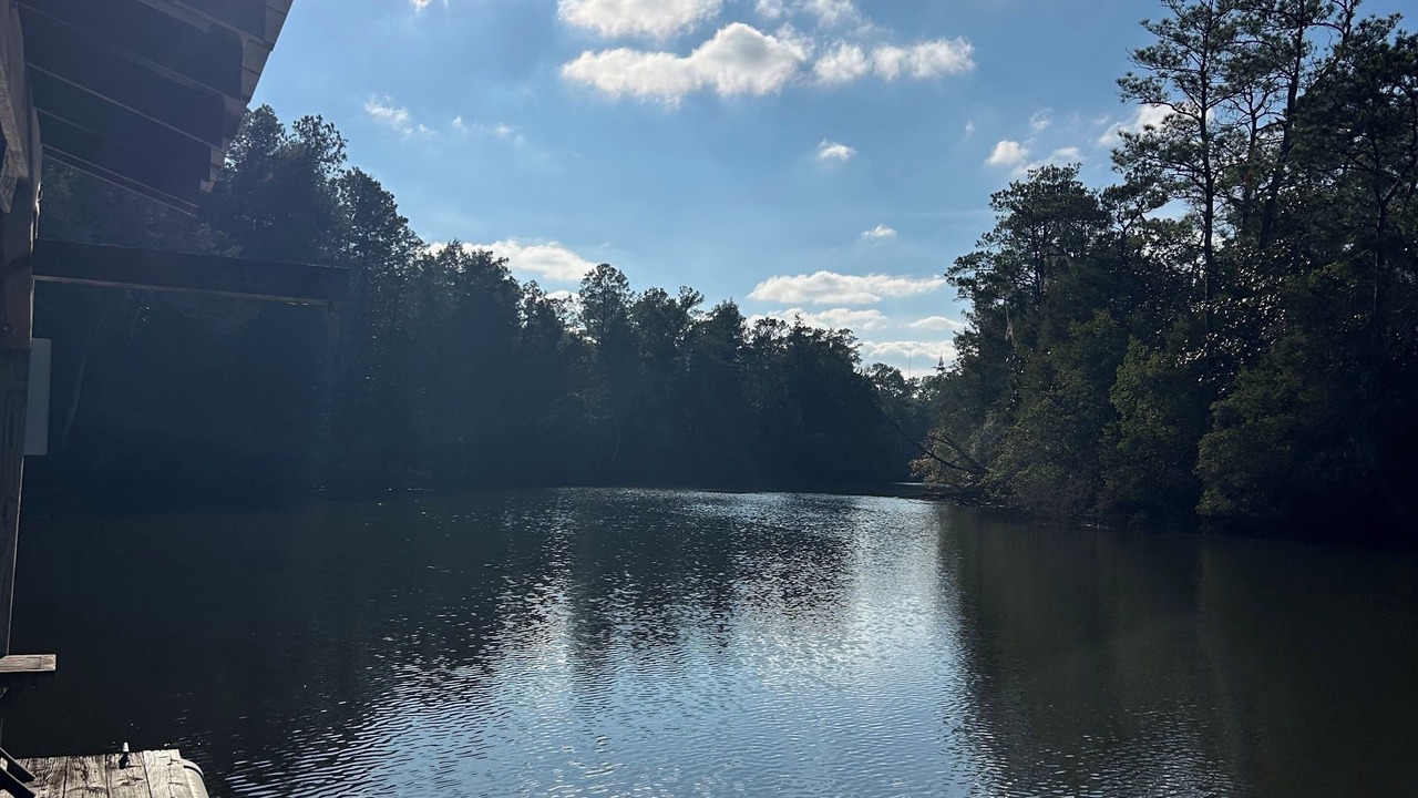 Photo of Others in Vancleave