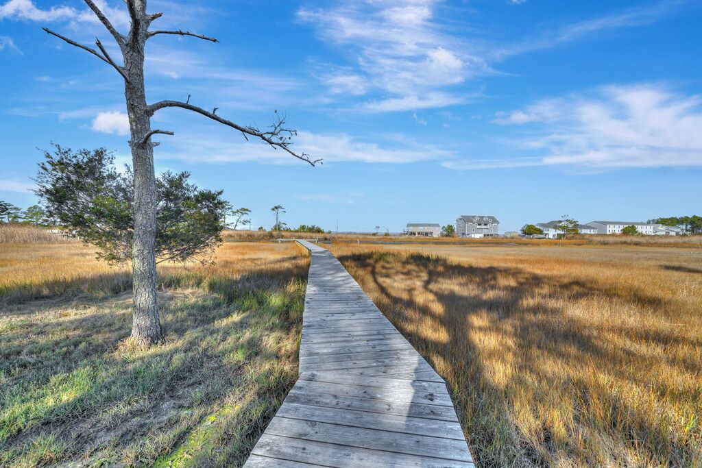 Photo of Others in Chincoteague