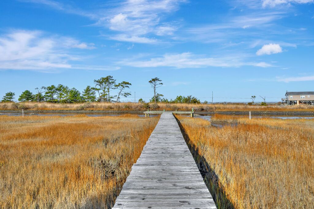 Photo of Others in Chincoteague