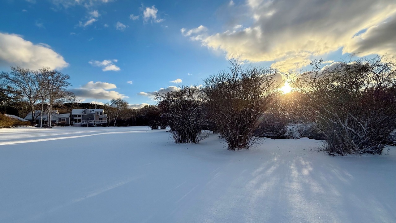 Photo of Outdoor in Truro