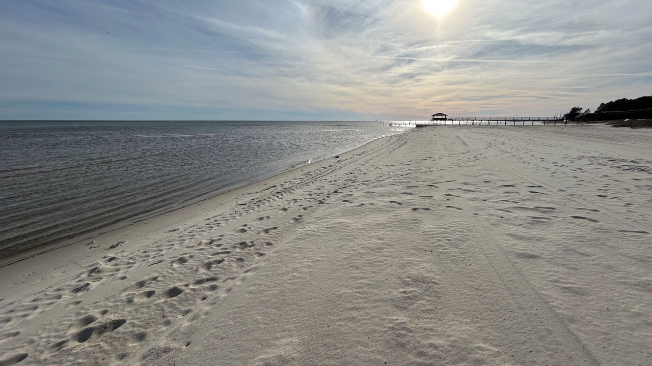 Photo of Others in Waveland