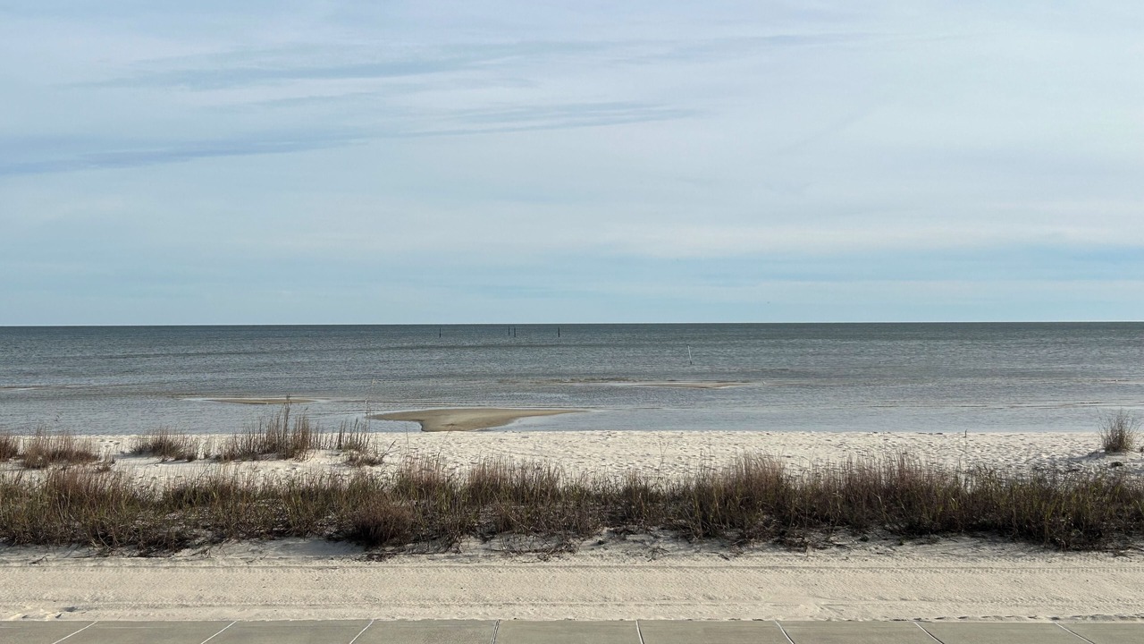 Photo of Others in Waveland