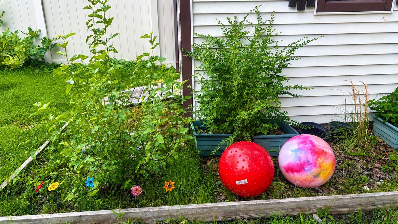 Photo of Outdoor in Glen Burnie