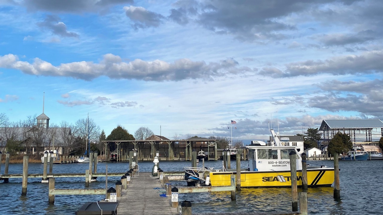 Photo of Others in Solomons