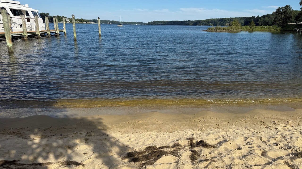 Photo of Others in Herald Harbor