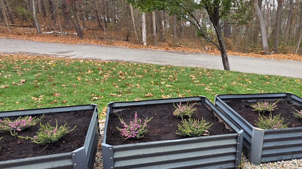 Photo of Outdoor in Stoughton