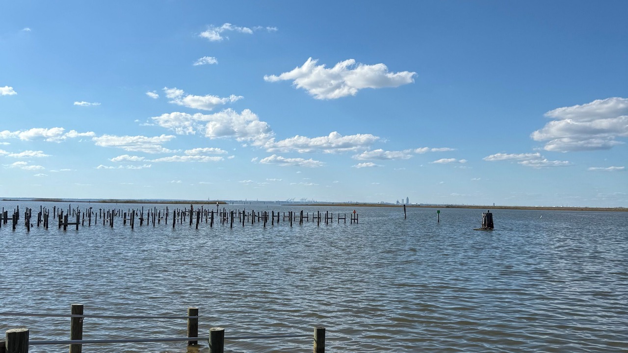 Photo of Others in Daphne
