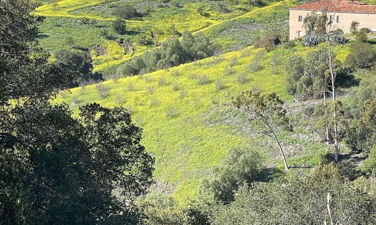 Photo of Others in Mission Canyon