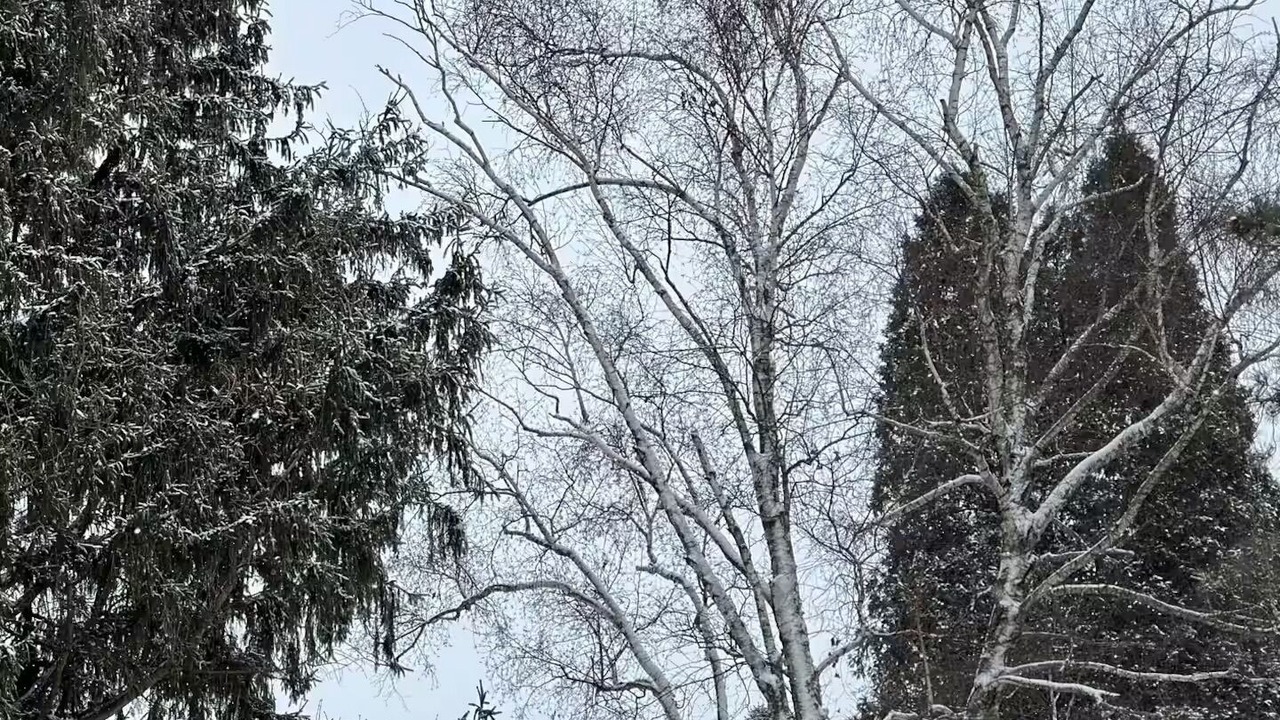 Photo of Outdoor in Viroqua