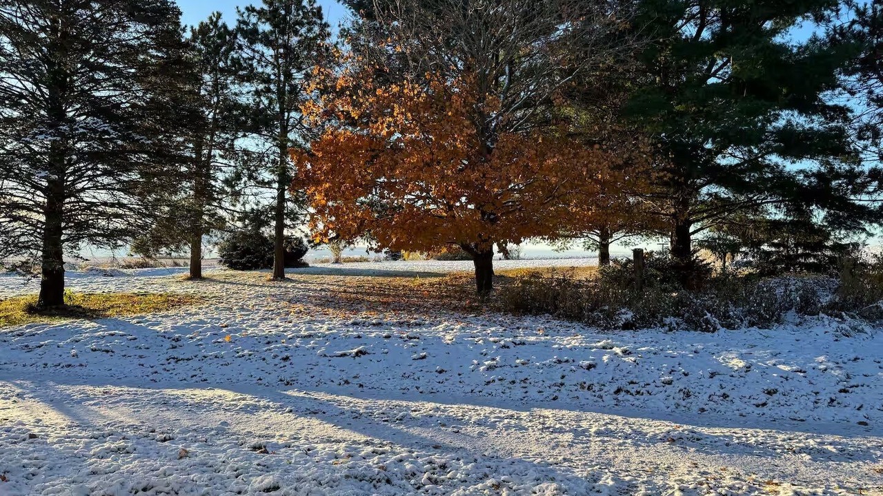 Photo of Others in Viroqua