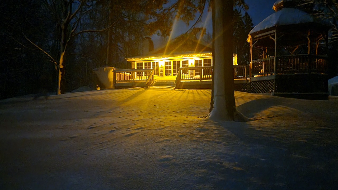 Photo of Outdoor in Park Falls