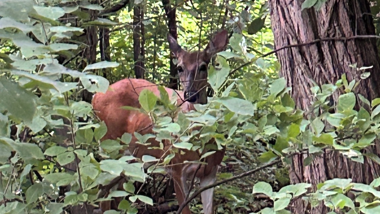 Photo of Others in Redgranite