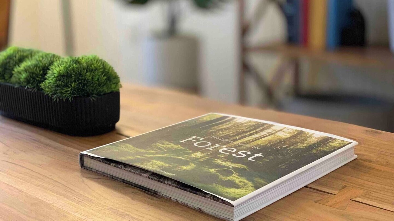 Photo of Others in South Baton Rouge
