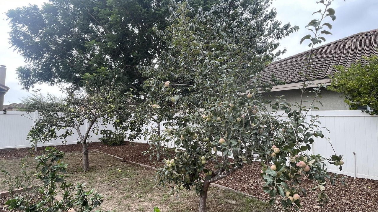 Photo of Outdoor in Oxnard