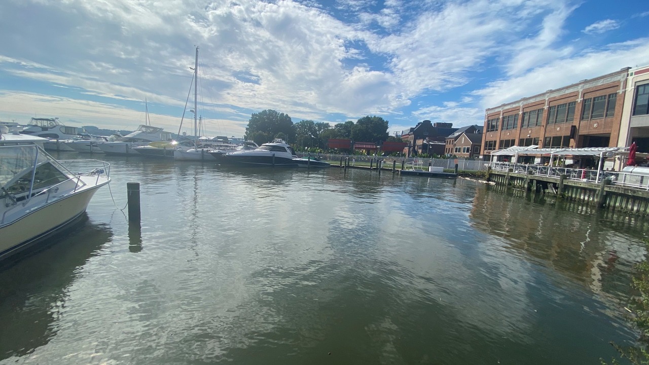 Photo of Others in Old Town Alexandria