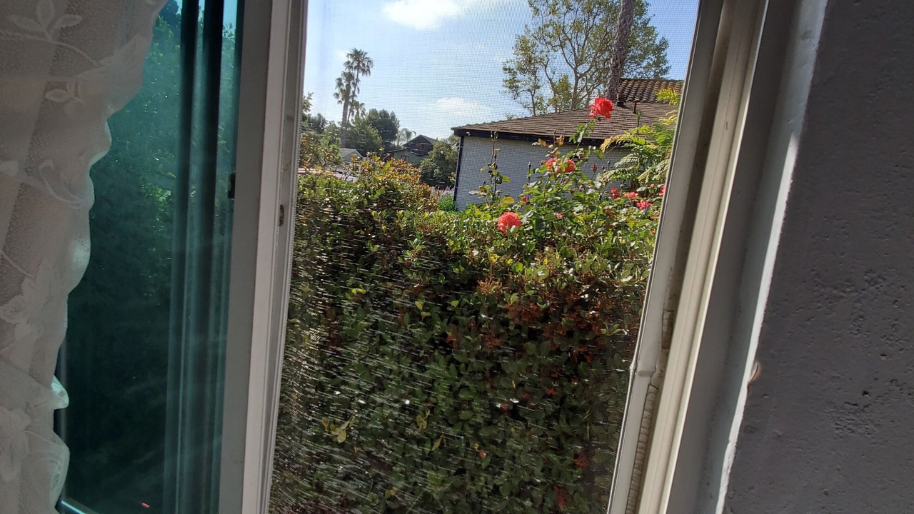 Photo of Others in Palms