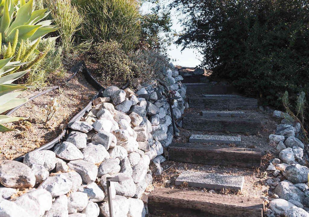 Photo of Outdoor in Cypress Park