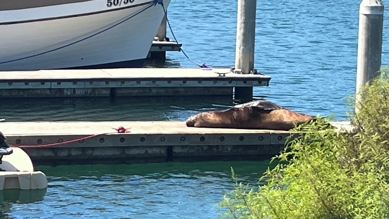 Photo of Others in Hollywood Beach